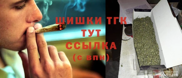 тгк Алексин