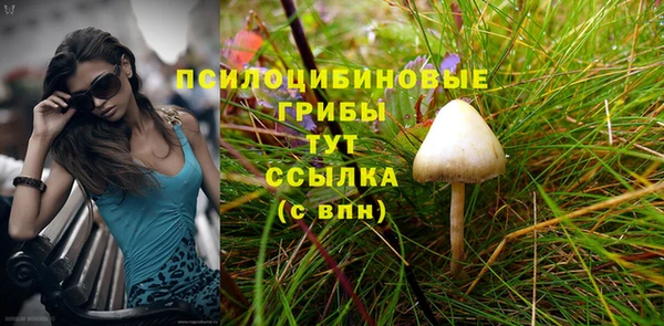 не бодяженный Абдулино